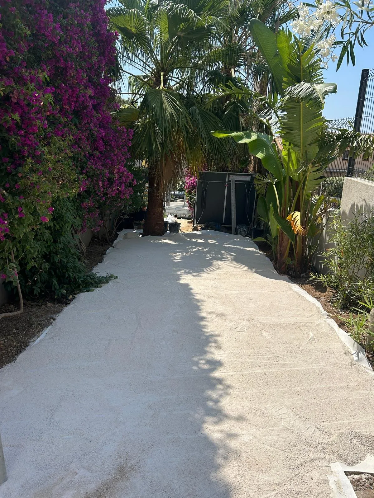 Allée recouverte d’un lit de sable avant la pose, entre palmiers et bougainvillier
